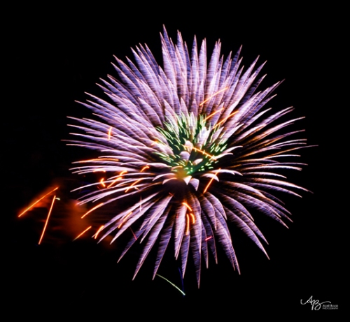 Fireworks 19 web